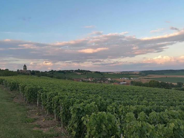 Location de vacances pour 8 personnes, avec jardin, animaux acceptés à Allemant - 2