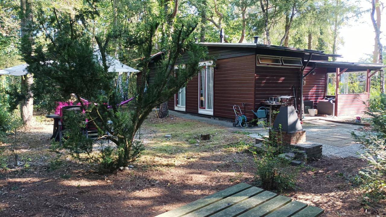 Bosbungalow de Eekhoorn in Nunspeet, Veluwe