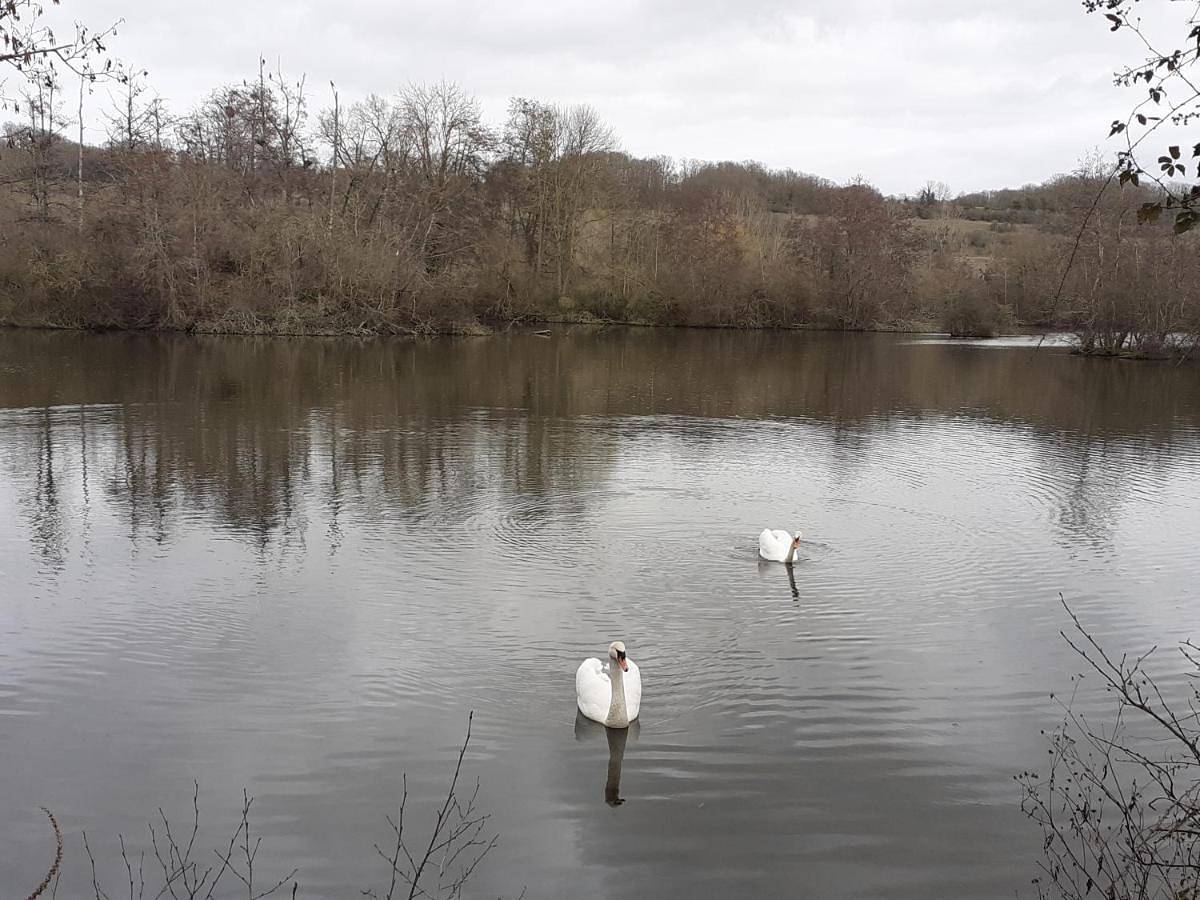 Au Bord de L'Eau in Écluzelles, Région de Dreux