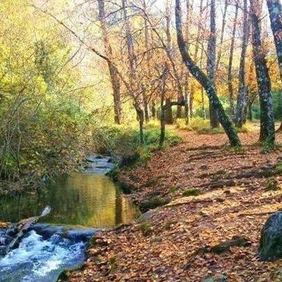 Casa rural para 10 personas, con Balcón y Jacuzzi además de Terraza y Piscina en Sierra de Grazalema - 3