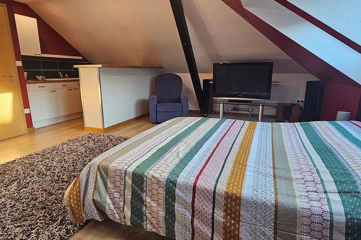 Location de vacances pour 3 personnes à Herrlisheim - 3