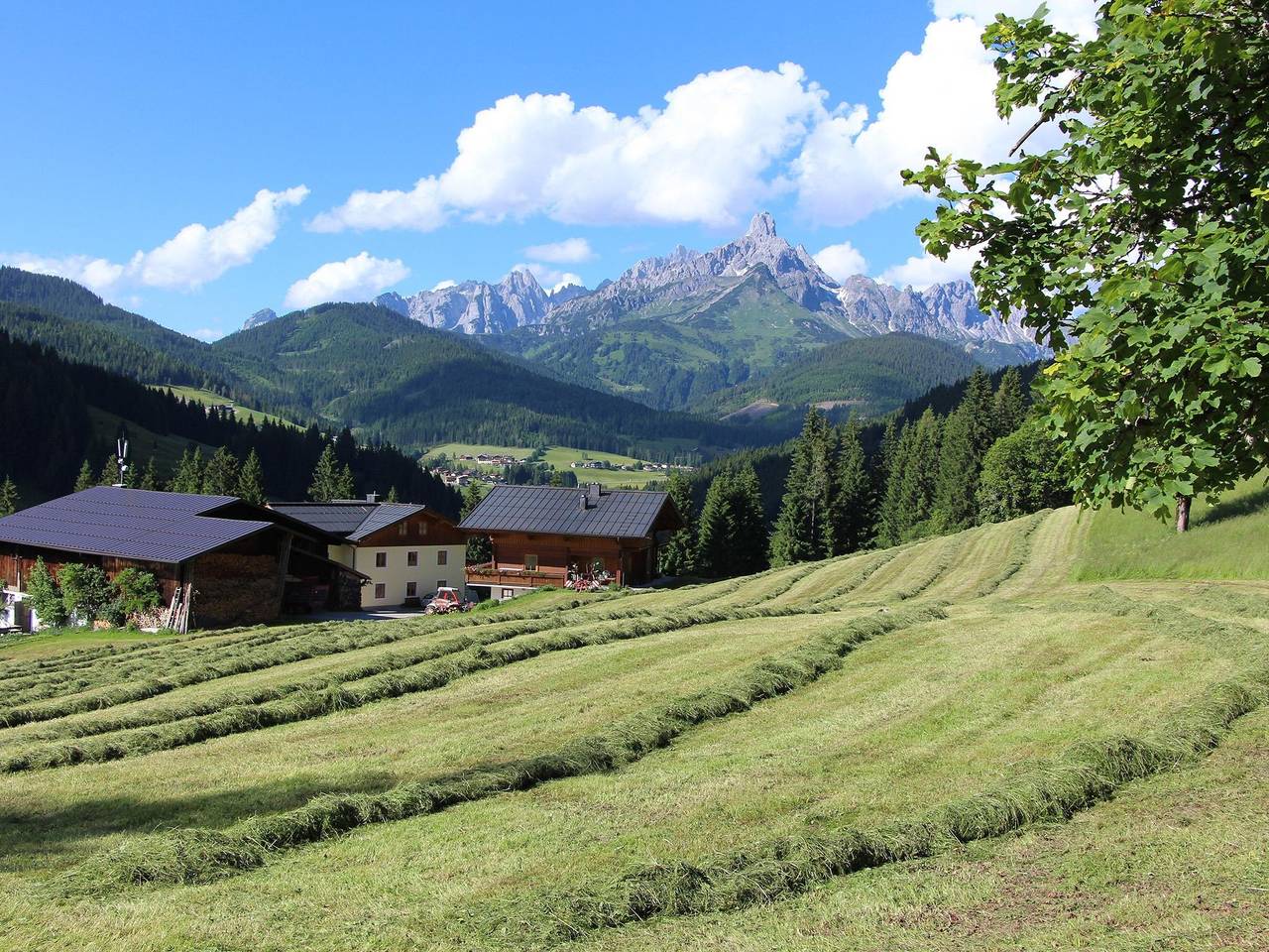 Geheel vakantieappartement, App/1 slaapkamer/douche, wc in Filzmoos, Tennengau