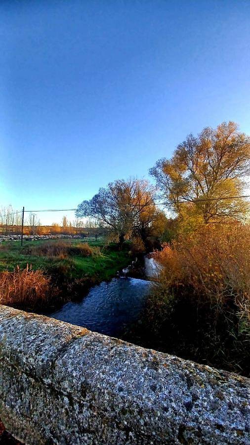 Casa rural para 4 personas, con balcón en Ribera del Duero - 3