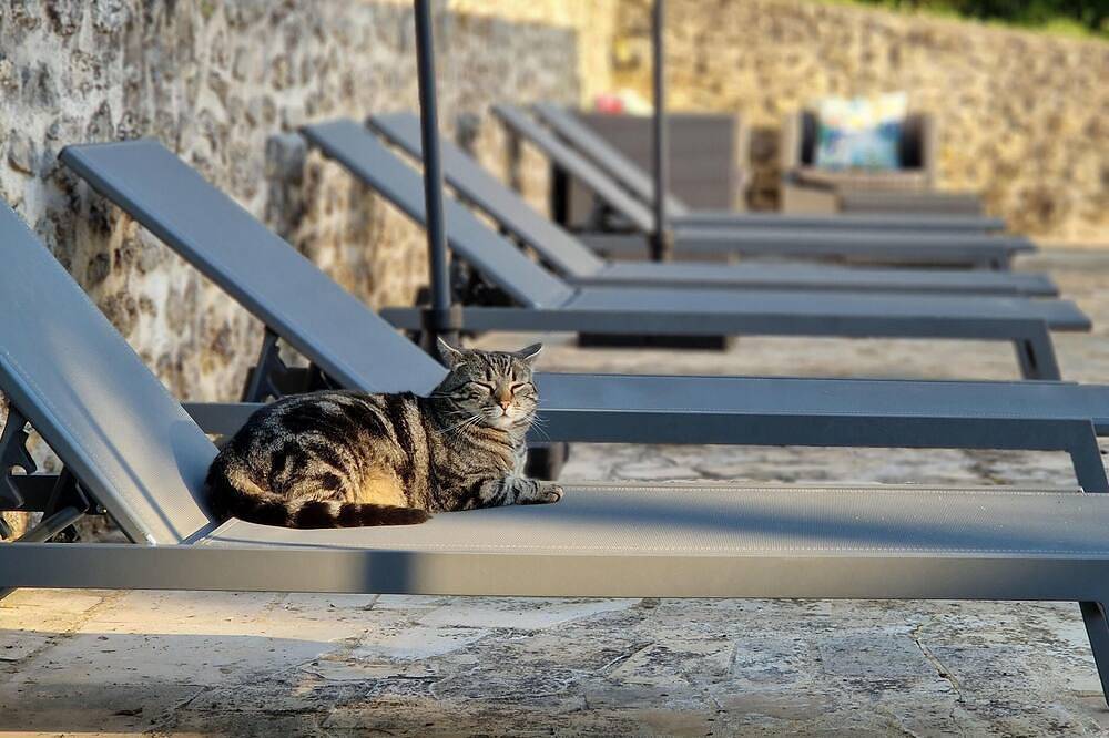 Au Calme Du Gatinais - heated swimming pool, table tennis, pétanque and nature - 8 pers in Valpuiseaux, Parc naturel régional du Gâtinais français