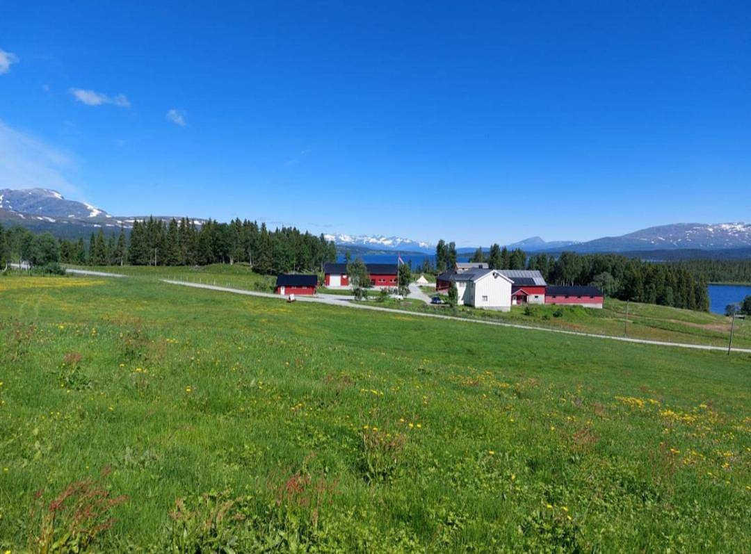 Villmarksgård camping in Hattfjelldal