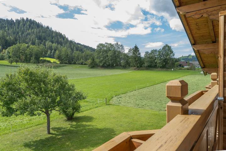 Ferienwohnung für 2 Personen, mit Balkon und Garten in Ski Amadé - 2