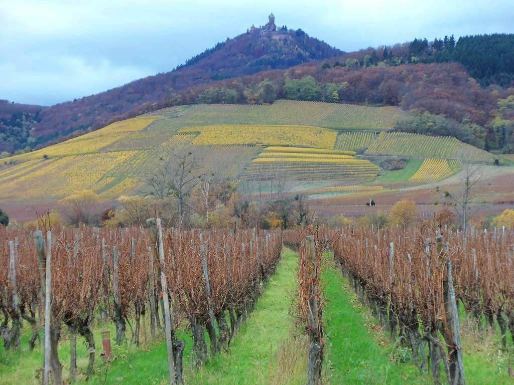 Appartement entier, Apartment Route du Vin Centre Alsace in Orschwiller, Région de Sélestat-Erstein