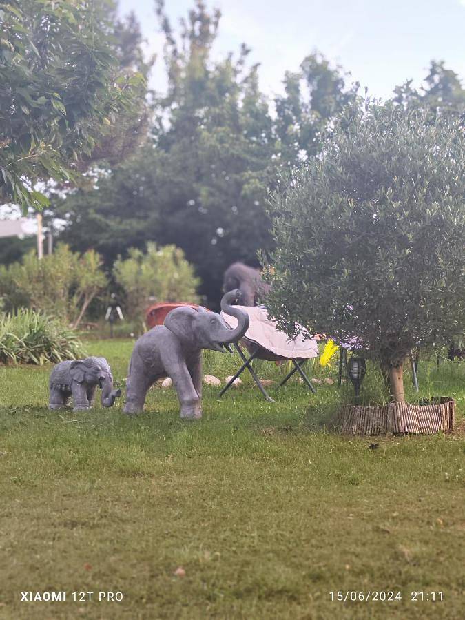 Gîte pour 4 personnes, avec jardin et vue, animaux acceptés à Riez - 3