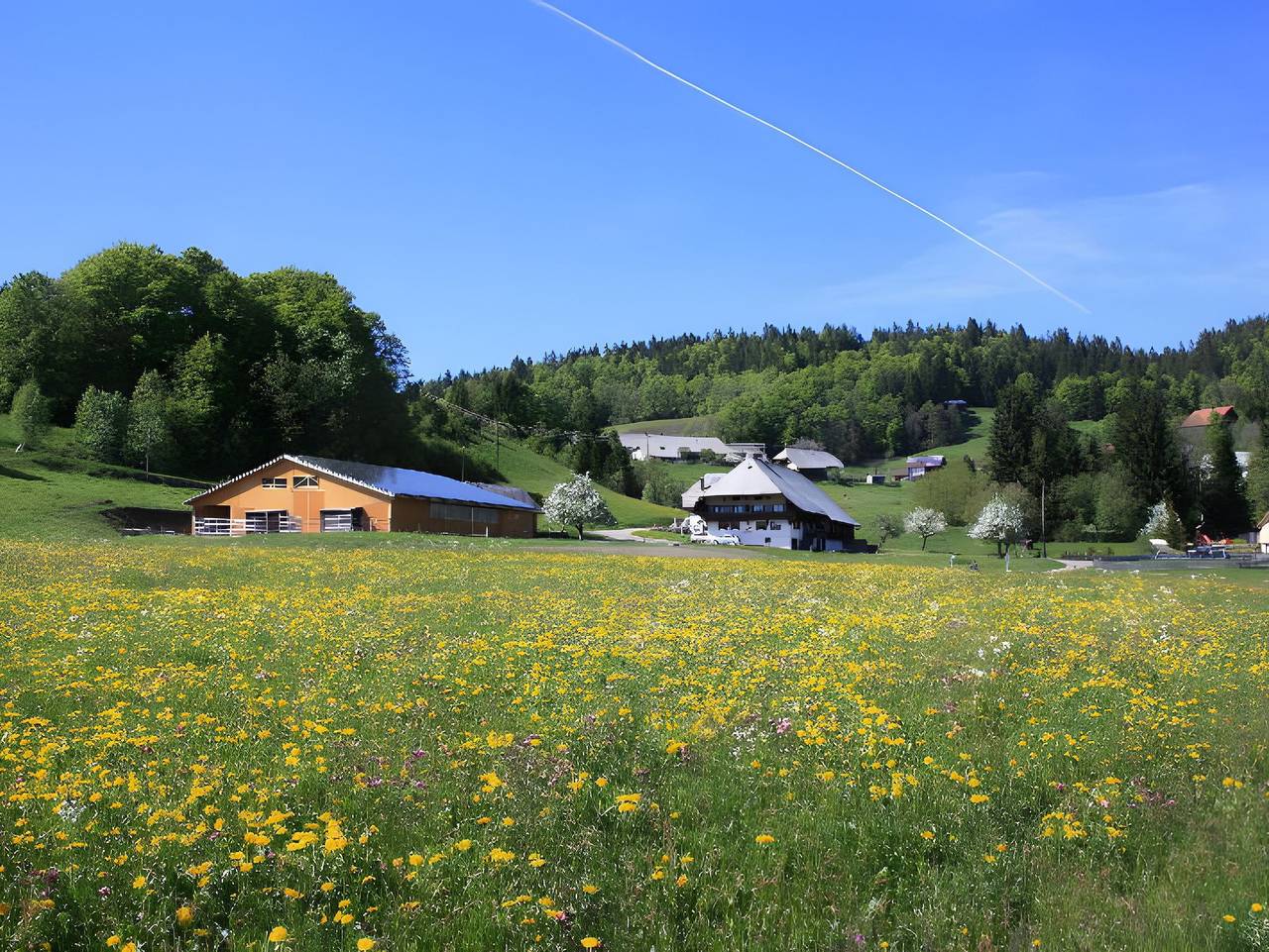 Ganze Ferienwohnung, Bürschtehanse-Hof - Wohnung Eichentraum in Suedlicher Schwarzwald, Ibach
