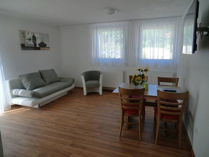 Pension Steinle - Gästezimmer mit Frühstück, 20qm, max. 2 Personen in Erbach (Baden-Württemberg), Erbach Region