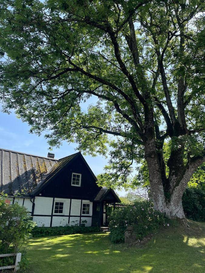 Appartement de vacances pour 6 personnes, avec terrasse et vue
