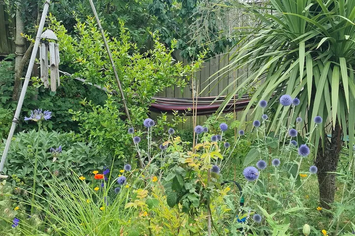 Holiday home for 2 people, with garden - 1