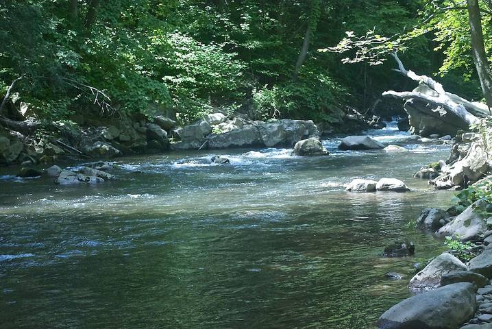 Cottage for 4 people, with yard and terrace in Maryland