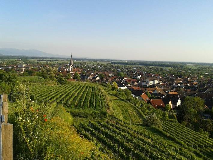 Ganze Ferienwohnung, Ferienwohnung Lehmann - Lehmann, 68 qm, 1-3 Personen in Ihringen am Kaiserstuhl, Kaiserstuhl