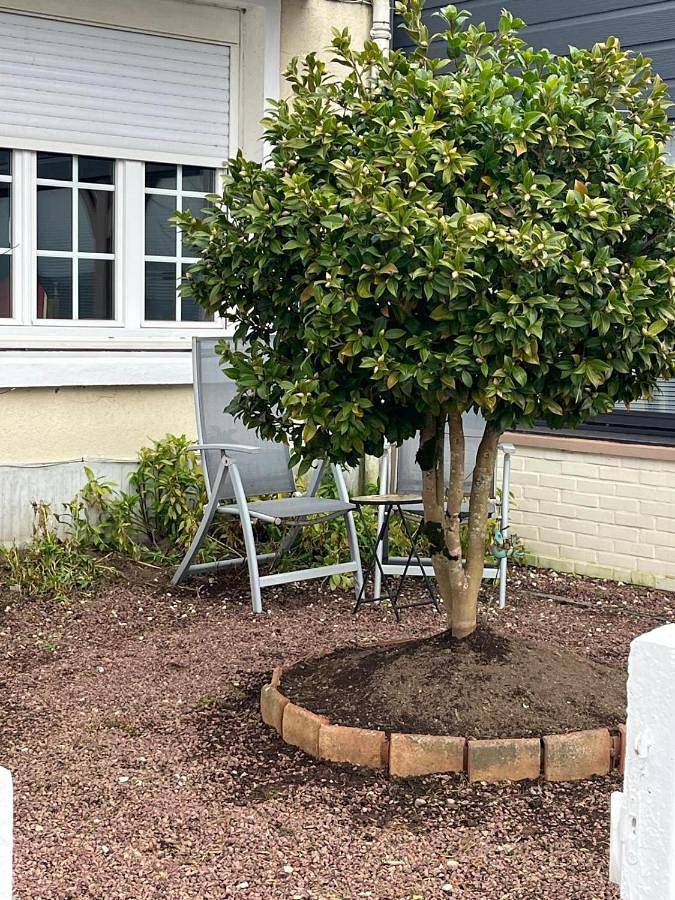 Location de vacances pour 6 personnes, avec vue et jardin à Sourdeval - 2