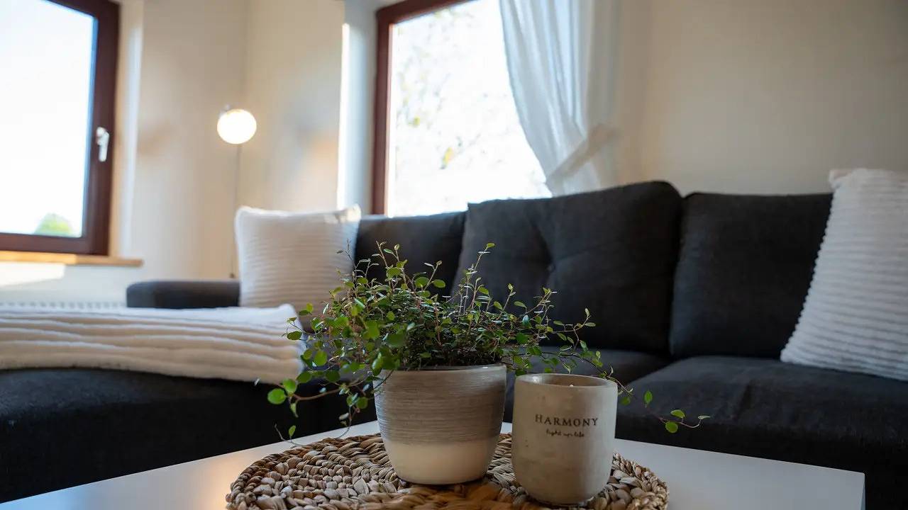 Ganze Ferienwohnung, Ferienwohnung für 1 Personen (40 m²) in Grömitz in Lenste, Grömitz