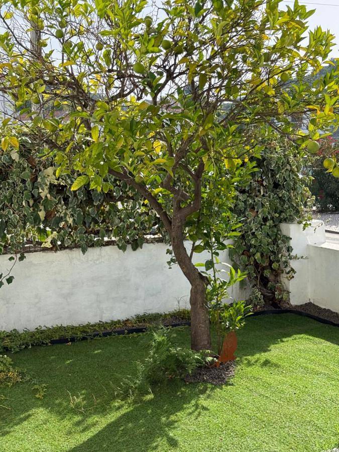 Casa de vacaciones para 6 personas, con jardín - 1