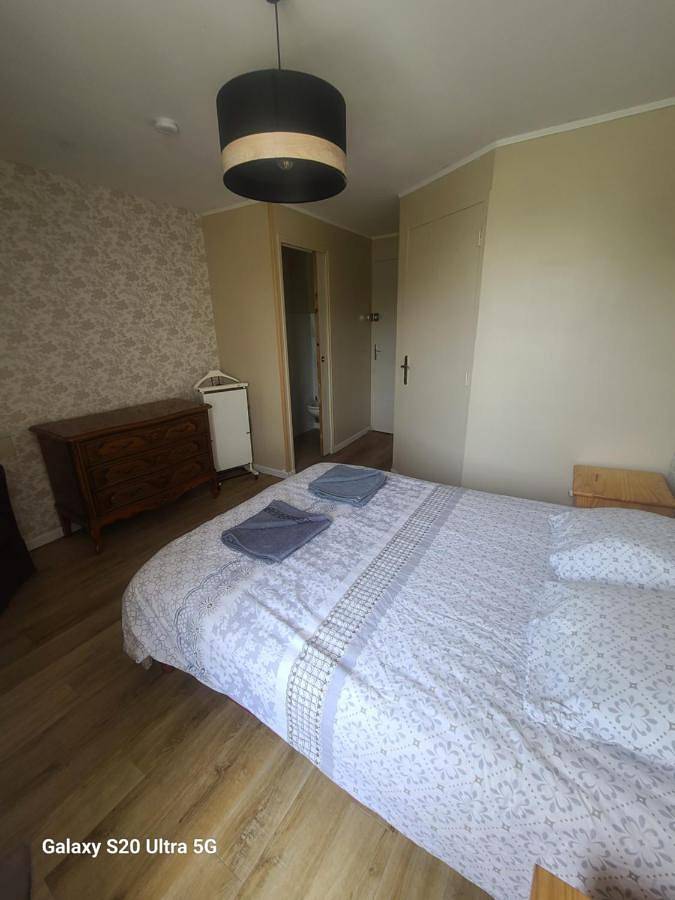 Gîte pour 7 personnes, avec terrasse ainsi que jardin et vue, animaux acceptés à Charly-sur-Marne - 4
