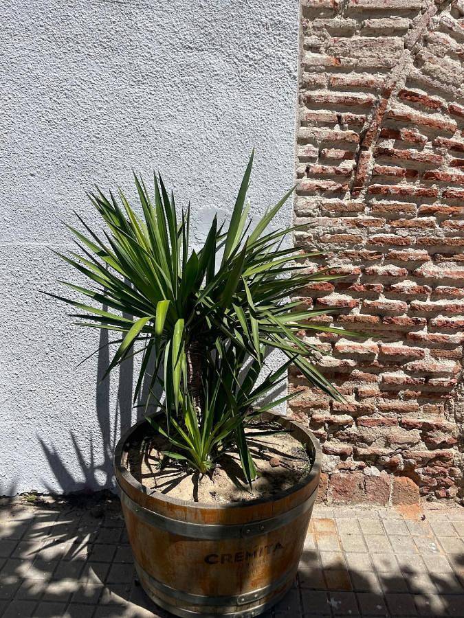 Chalet para 6 personas, con piscina y jardín en Provincia de Valladolid - 3