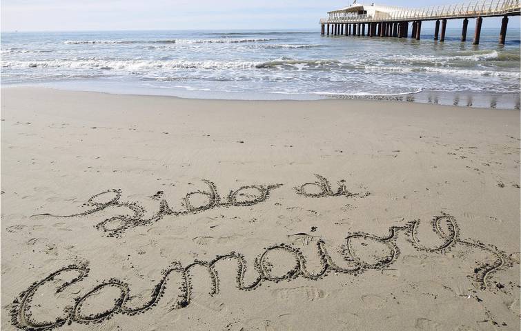 Ferienwohnung für 4 Personen, mit Garten und Sauna, mit Haustier in Lido di Camaiore - 4