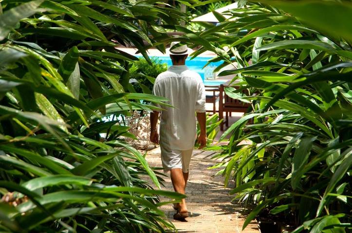 Location de vacances pour 6 personnes, avec jardin et terrasse, animaux acceptés à Trancoso - 2