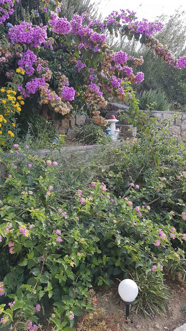 Ferienwohnung für 4 Personen, mit Garten und Balkon in Lopar - 4