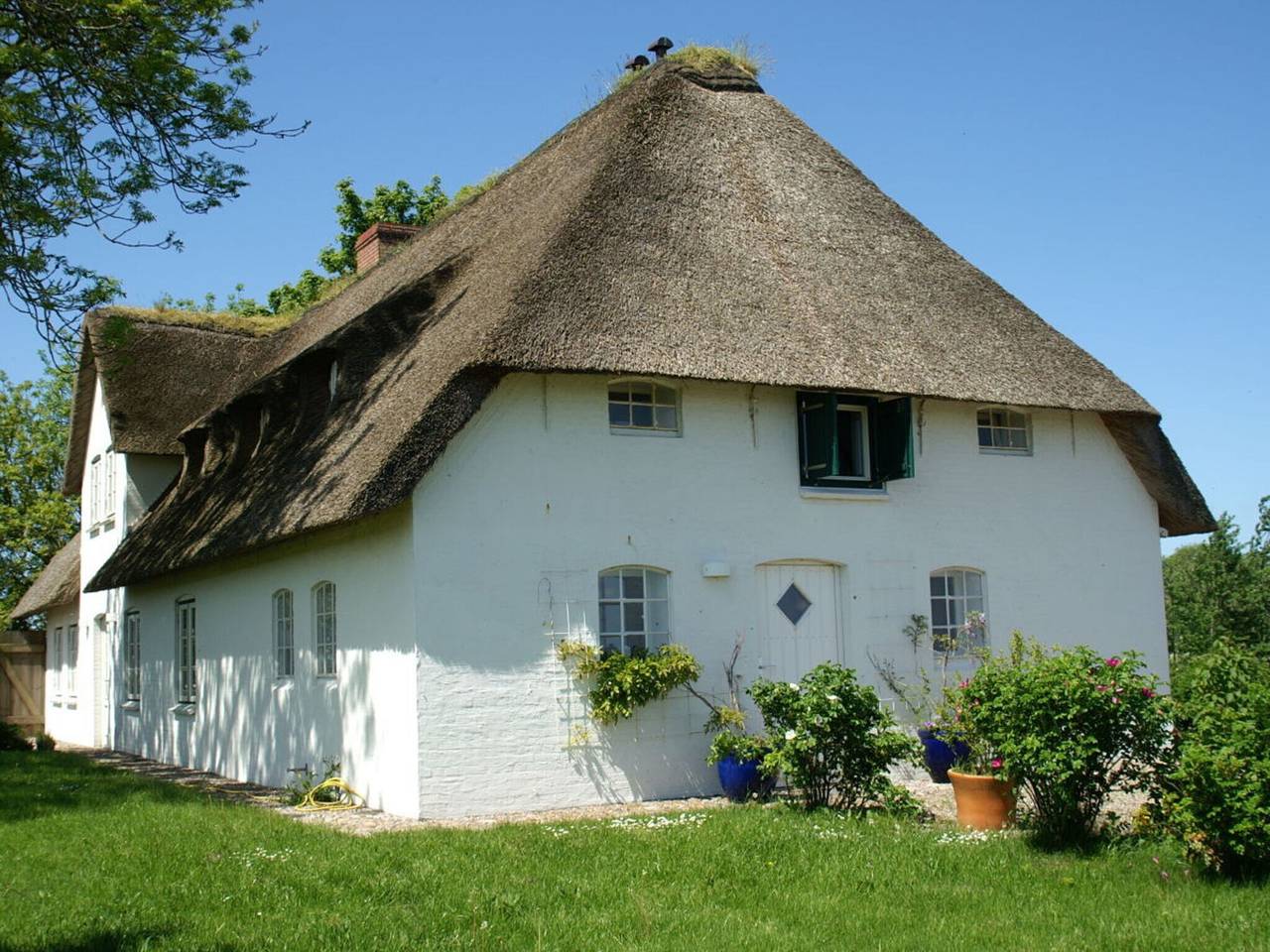 Reetdachhaus Poppenbüll in Poppenbüll, Eiderstedt