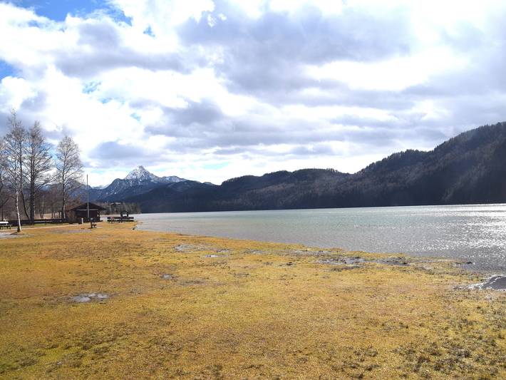 Ferienhaus für 4 Personen, mit Terrasse und Garten, mit Haustier am Weißensee - 2