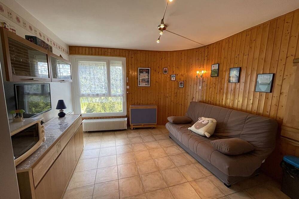 Entire apartment, Ski-In/Ski-Out Studio, Sleeps 4, Wi-Fi, Washer, Near Shops & Rink in Le Lioran, Laveissière