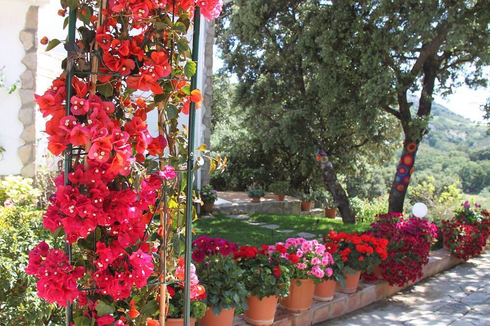 Little corner of paradise with large wooded garden for nature lovers in Colmenar, Málaga Province