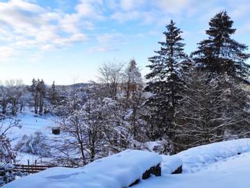 Ferienwohnung für 2 Personen, mit Terrasse, mit Haustier in Braunlage