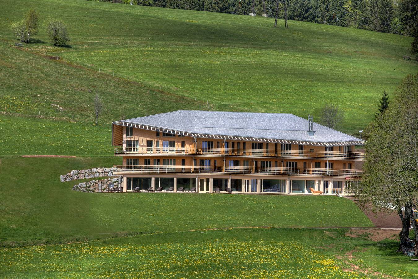 Derwaldfrieden naturparkhotel - Juniorsuitepanorama in Todtnau, Forêt-Noire du Sud