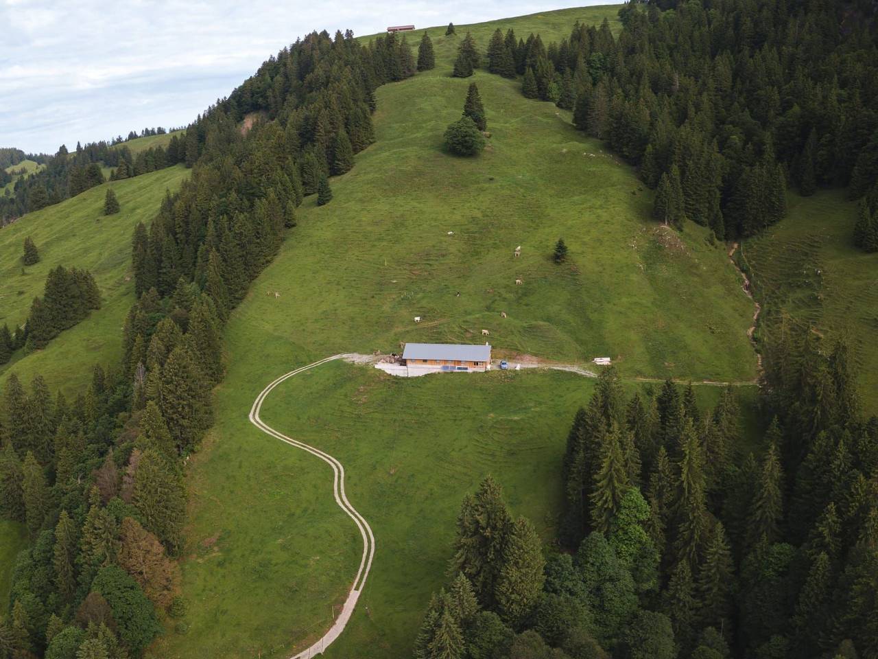 Alp Scherlet in Ennetbühl, Nesslau