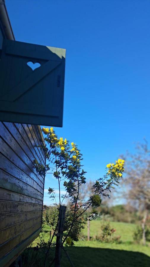 Gîte pour 5 personnes, avec vue, animaux acceptés dans Sajas - 3