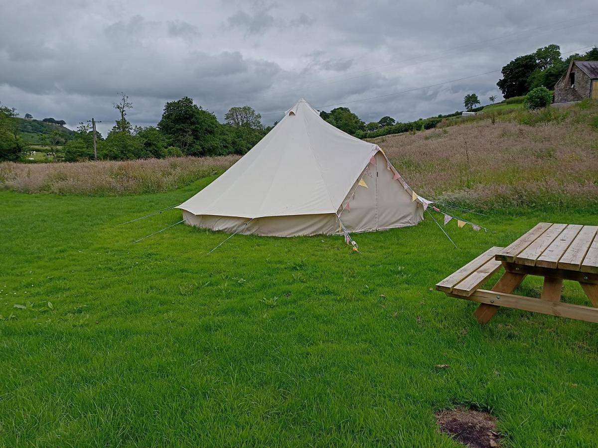 Oak Tree Farm in Carmarthenshire