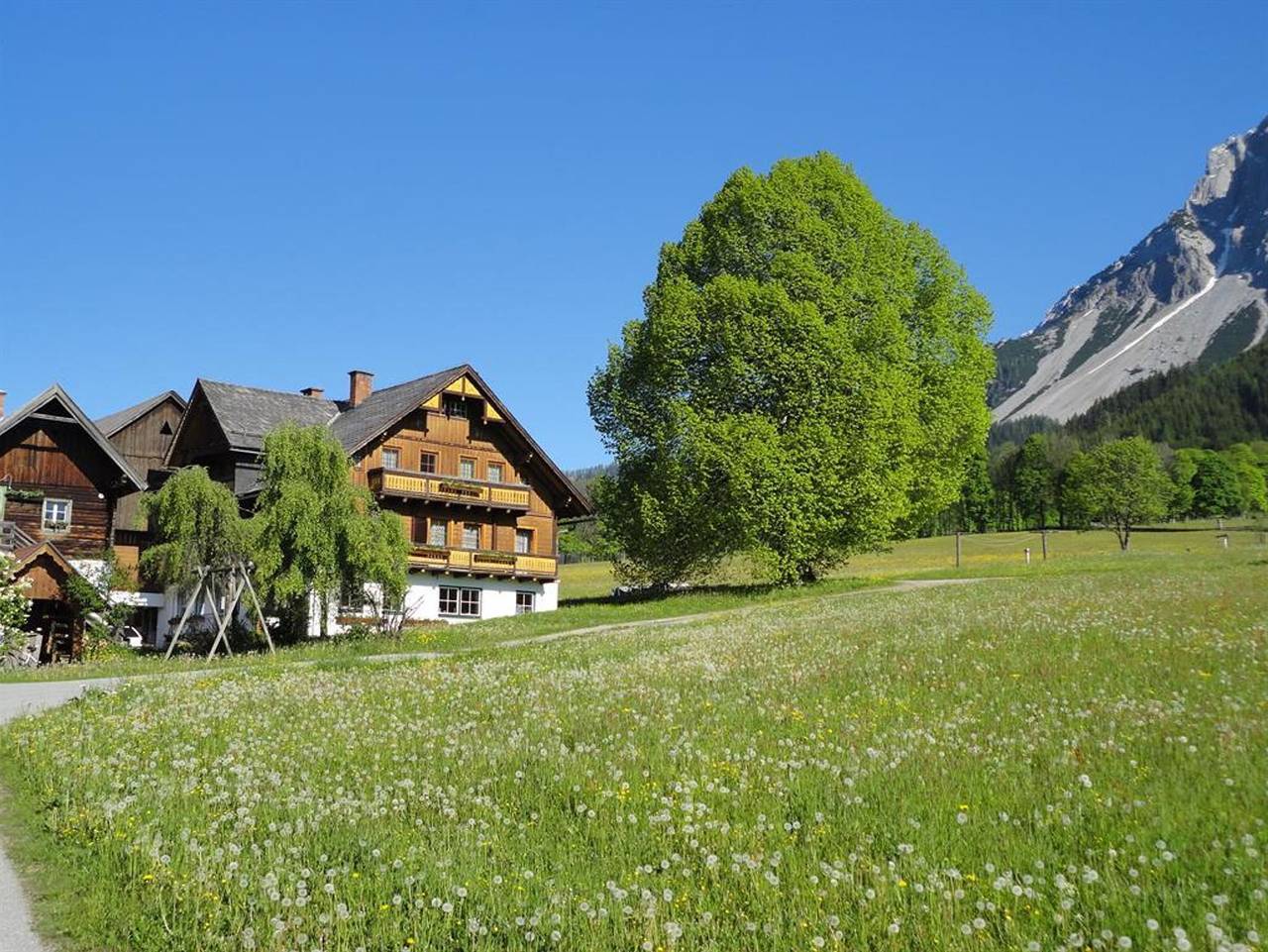 Ganze Ferienwohnung, Unerzhuberhof - App. Ahorn /1 Schlafraum/Dusche, Wc in Ramsau am Dachstein, Schladming-Dachstein