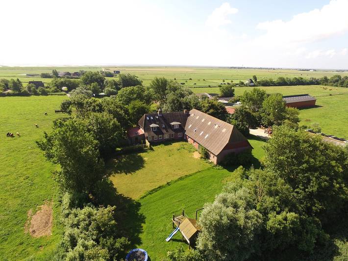 Ganze Ferienwohnung, Ferienhof Edenswarf - Fewo Schwalbennest in Nordfriesische Inseln (Schleswig-Holstein) (Schleswig-Holstein), Pellworm