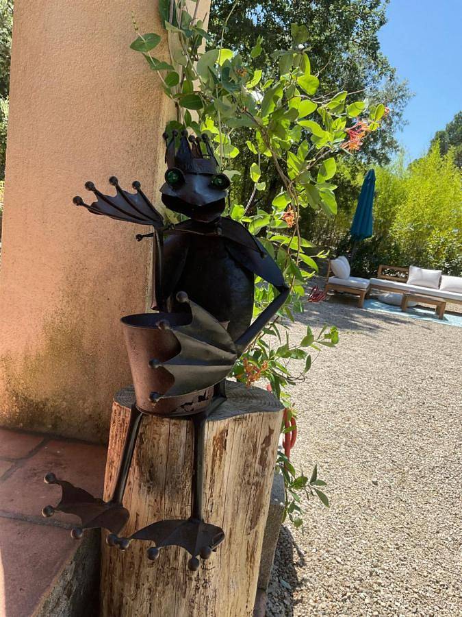 Gîte pour 2 personnes, avec jardin ainsi que terrasse et piscine à Taradeau - 3