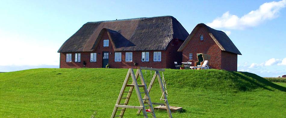 Ferienhaus für 5 Personen, mit Garten und Sauna sowie Terrasse, mit Haustier in Pellworm - 3