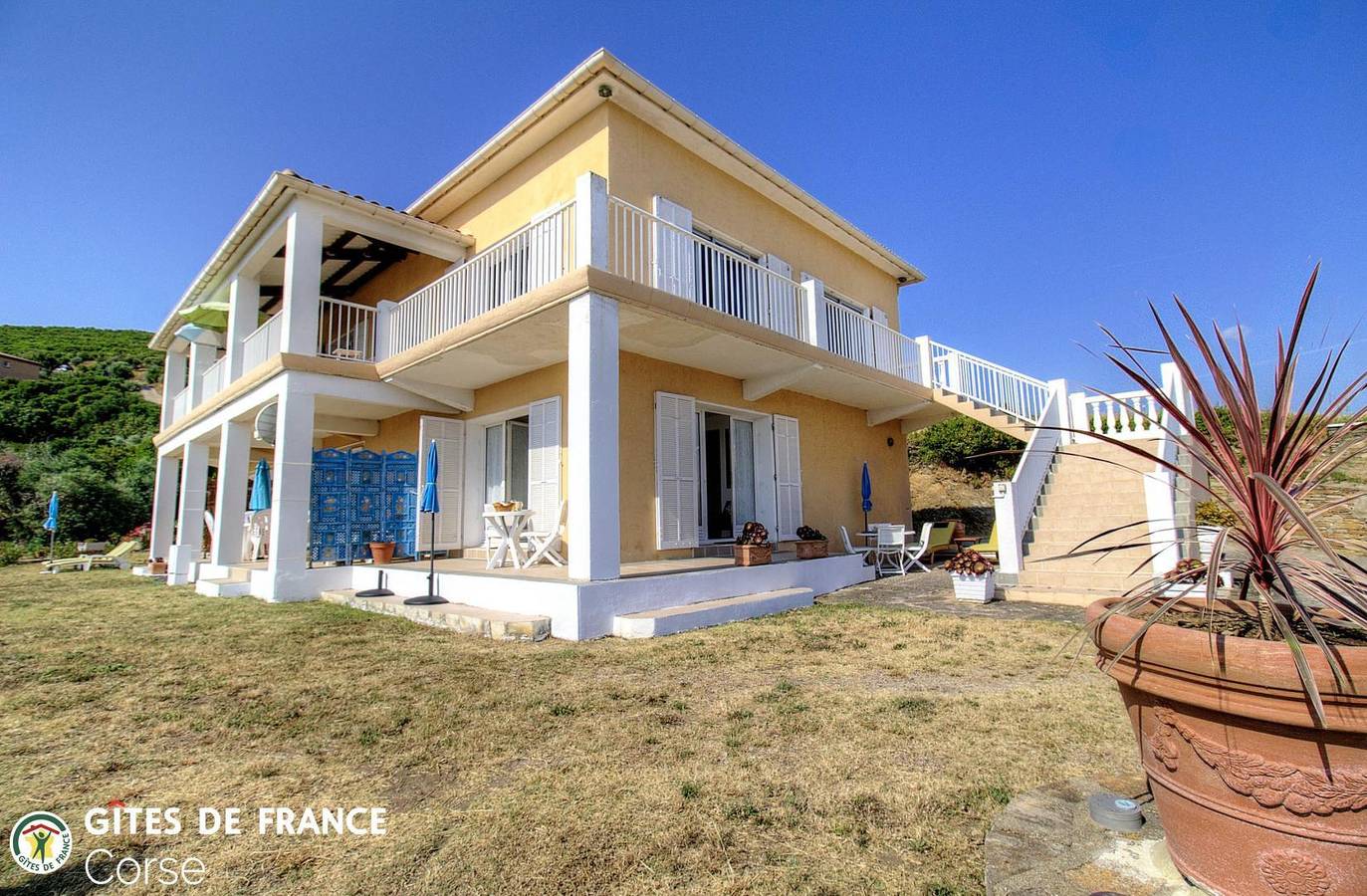 A Pianatella - Les Palmiers in Luri, Cap Corse