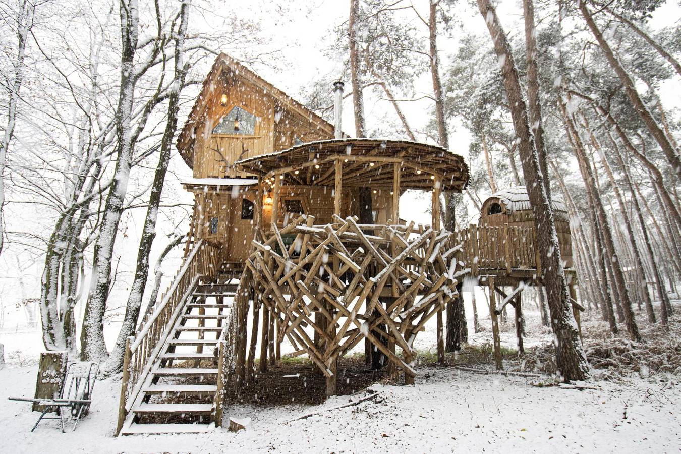 Recreatiedomein Warredal — Tree House 3 in Maaseik, Hoge Kempen