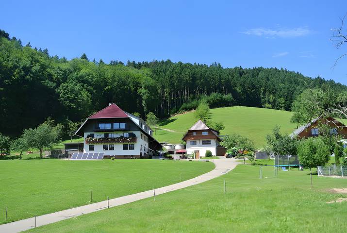 Ferienwohnung für 4 Personen, mit Terrasse, kinderfreundlich in Mittlerer Schwarzwald