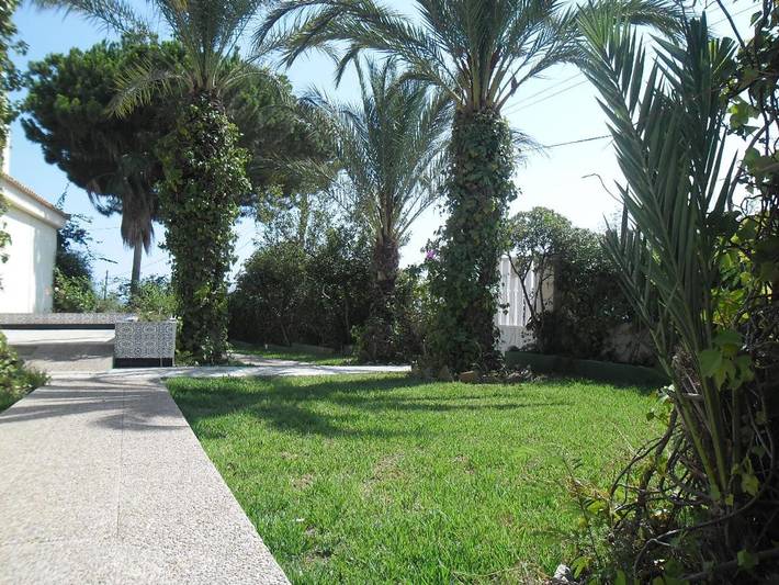 Villa pour 15 personnes, avec piscine ainsi que vue et jardin à Benidorm - 3