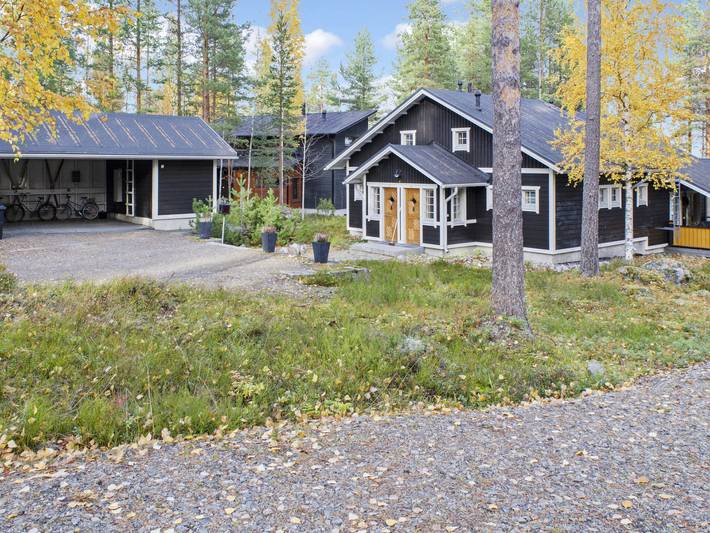 Ganze Wohnung, Koliwood b in Loma-Koli, Pielinen