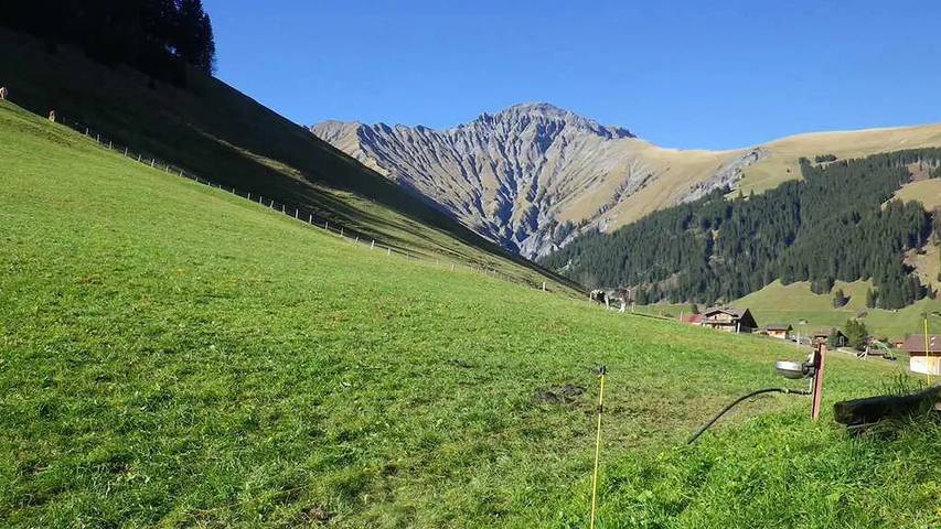 Ferienwohnung für 7 Personen, mit Garten im Berner Oberland - 3