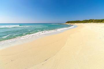 Maison De Vacances pour 10 Personnes dans Punta Prosciutto, Salento, Photo 4