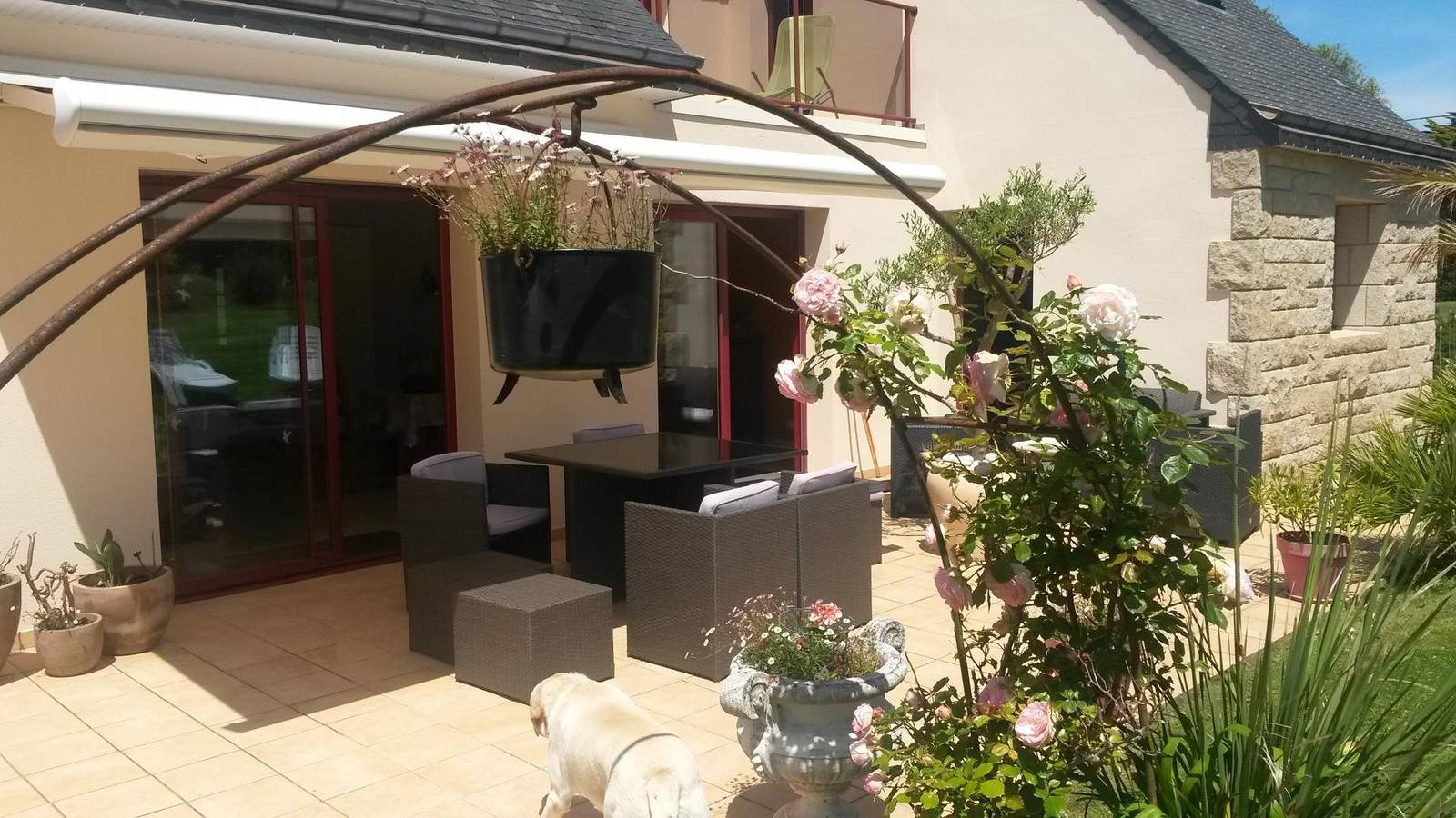 Les Palmiers in Port Blanc (Penvénan), Penvénan