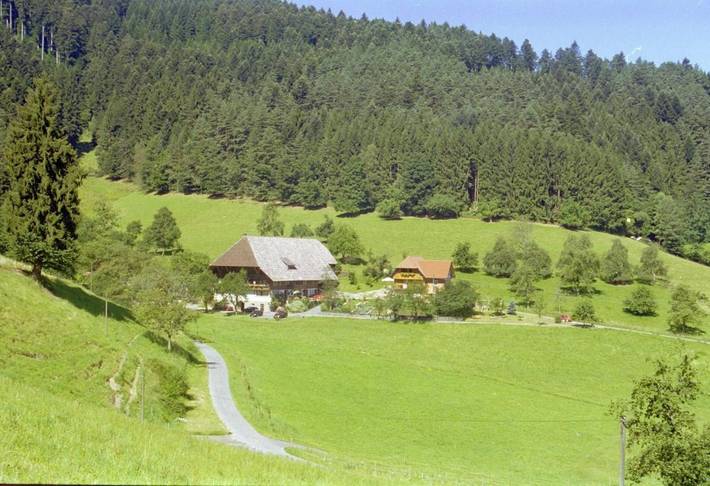 Ferienhaus für 4 Personen, mit Terrasse und Garten in Gutach (Schwarzwaldbahn)