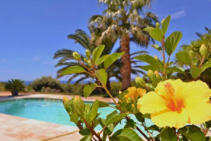 Appartement de vacances pour 4 personnes, avec jardin ainsi que piscine et vue