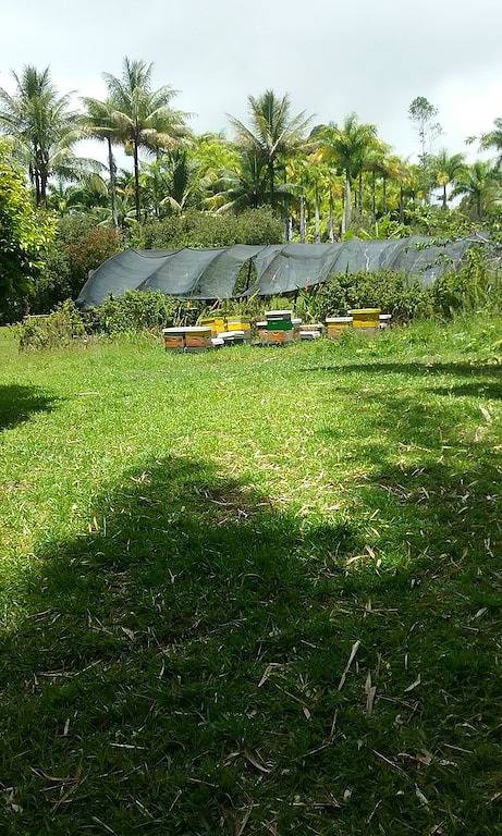 Ganze Wohnung, Hart Springs Farm An Der Küste Von Hamakua in Hakalau, Hamakua